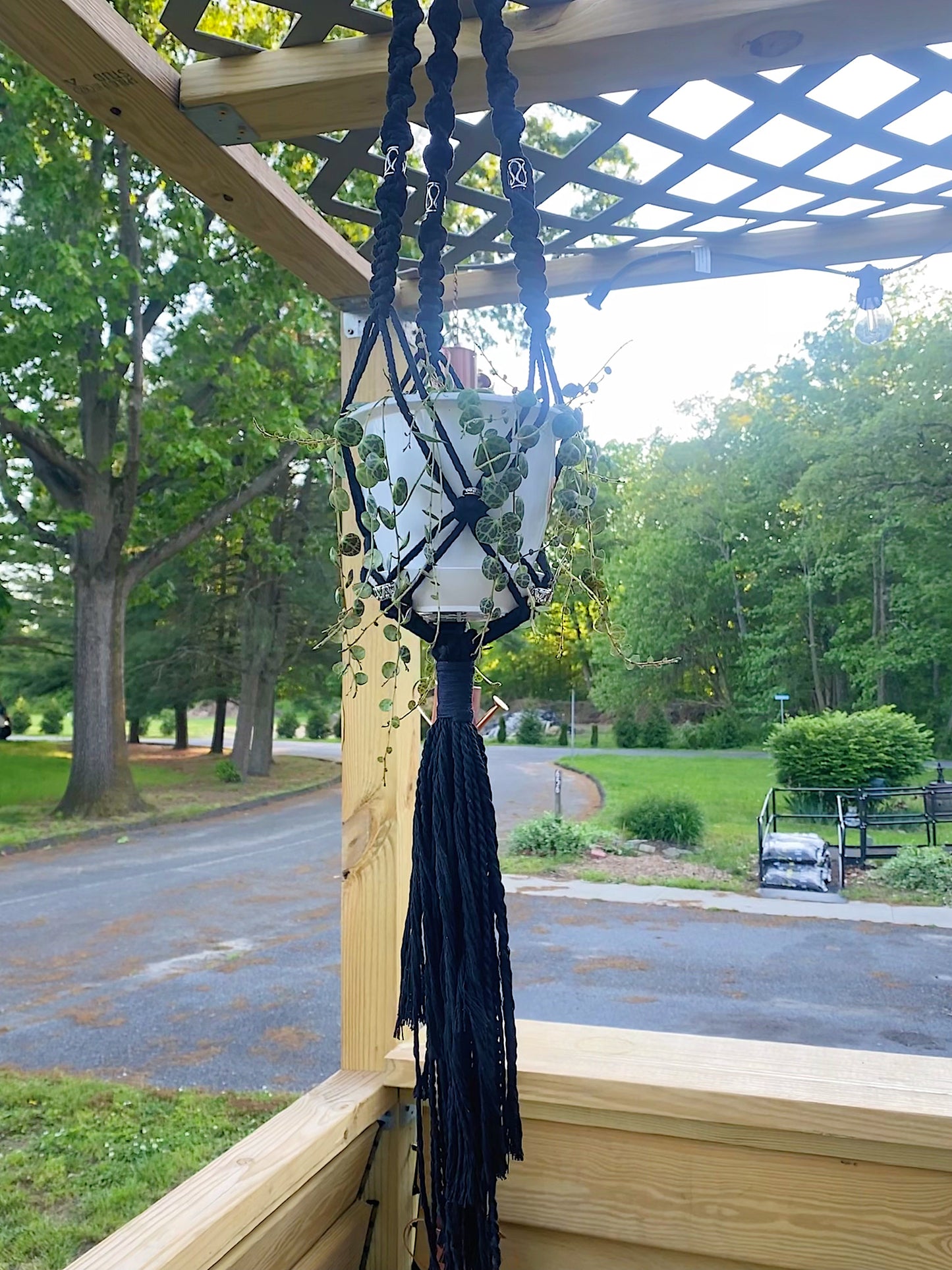 Macrame Plant Hanger