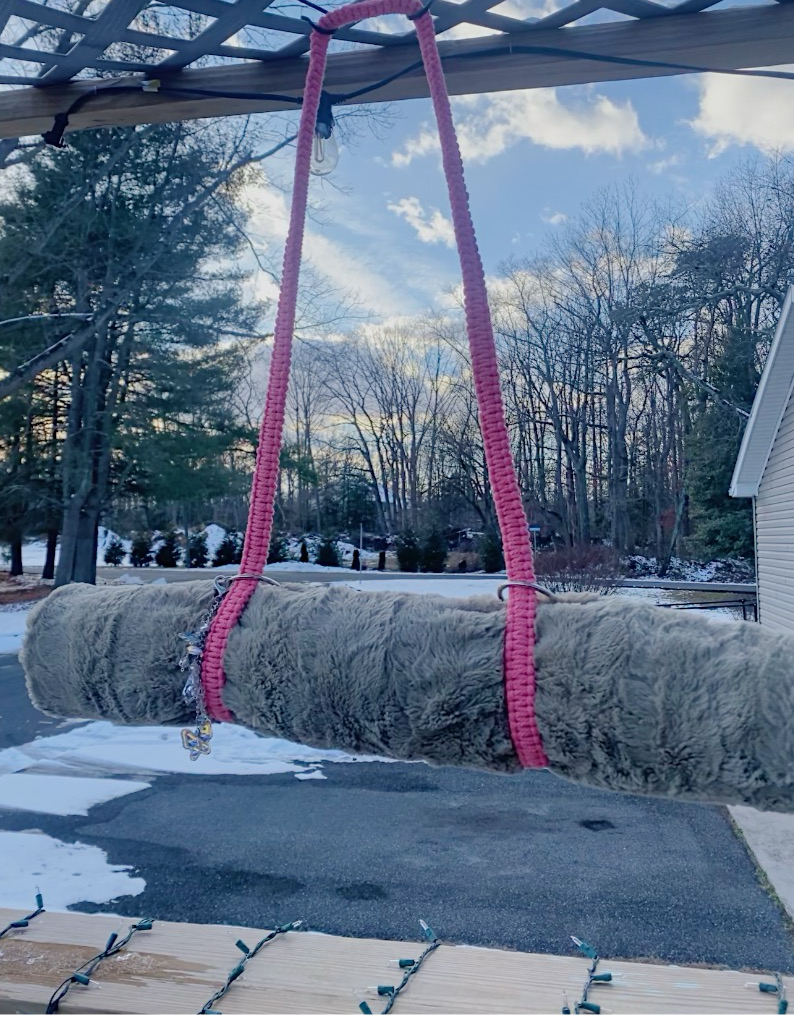 Sun-Catching Carrier