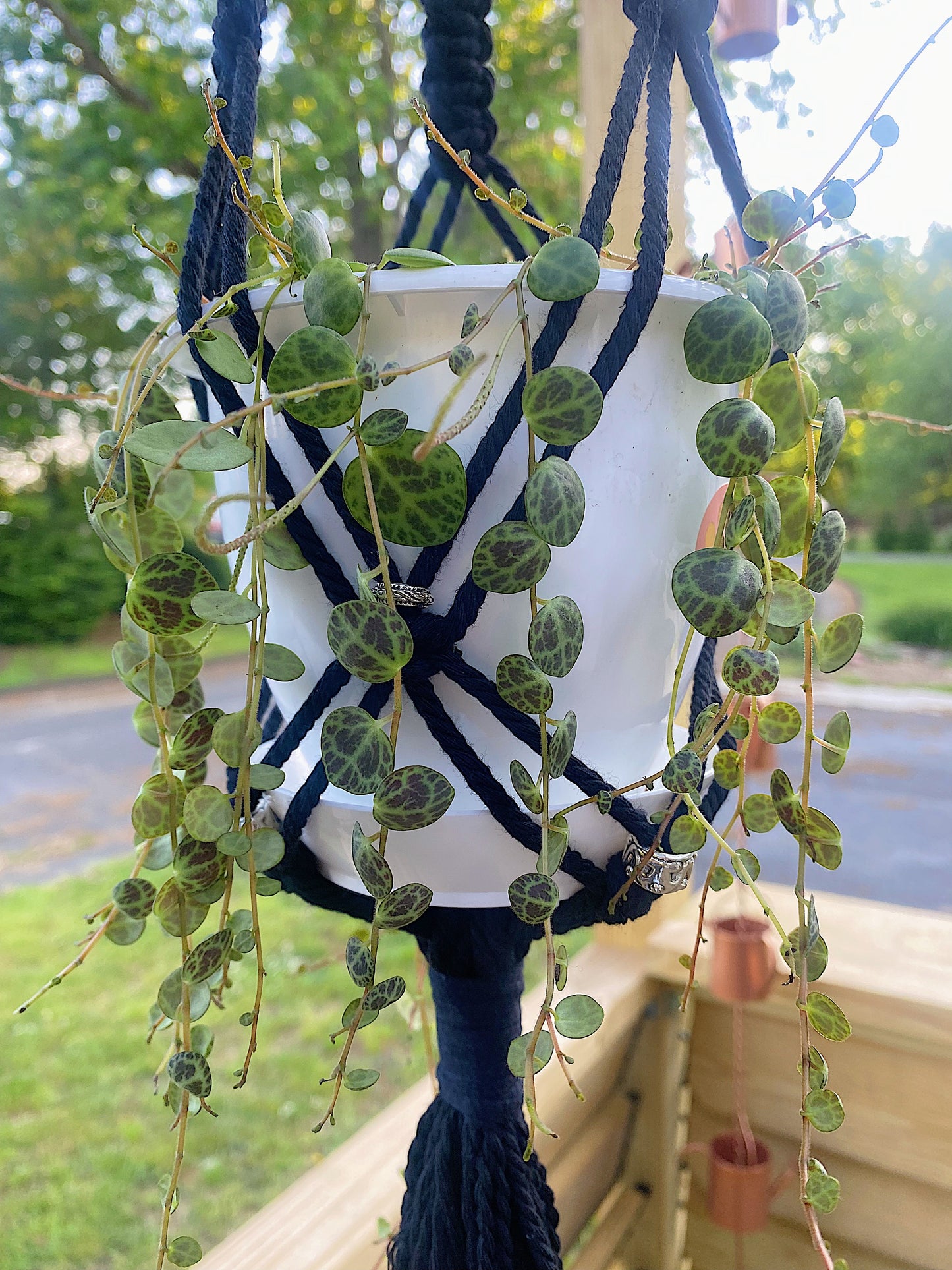 Macrame Plant Hanger